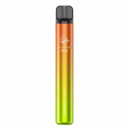 Elf Bar 600 V2 Apple Peach Disposable Vape